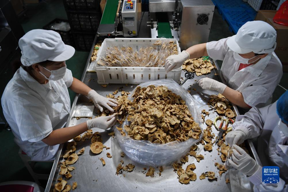 开心川麻今天是不是在维护